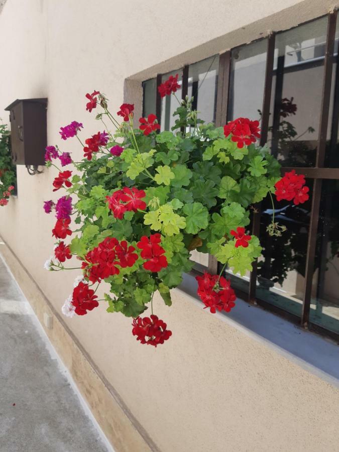 Villa Ros Guest House Svilengrad Eksteriør billede